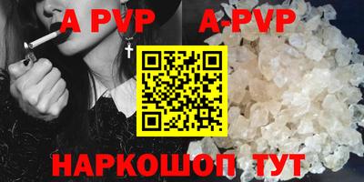 стаф Кунгур
