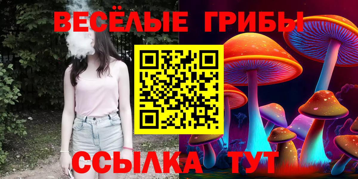 Псилоцибиновые грибы GOLDEN TEACHER Алапаевск